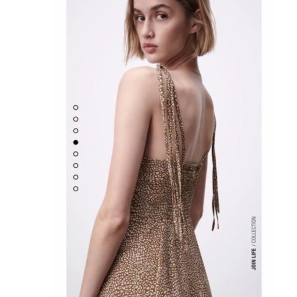 Animal Print Mini Dress Brown - Zara